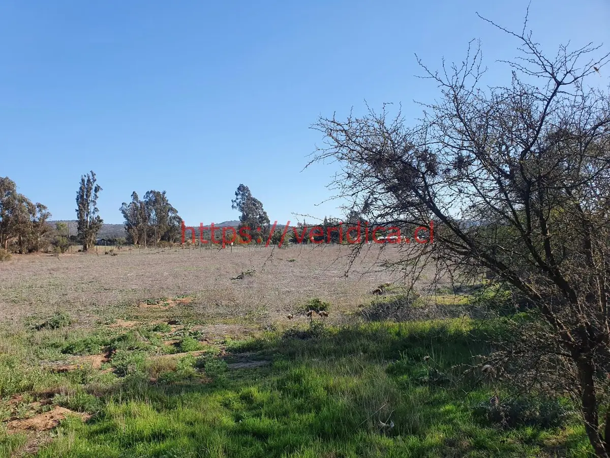 Oportunidad ! Excelente parcela 100% plana  $140.000.000 - foto 2