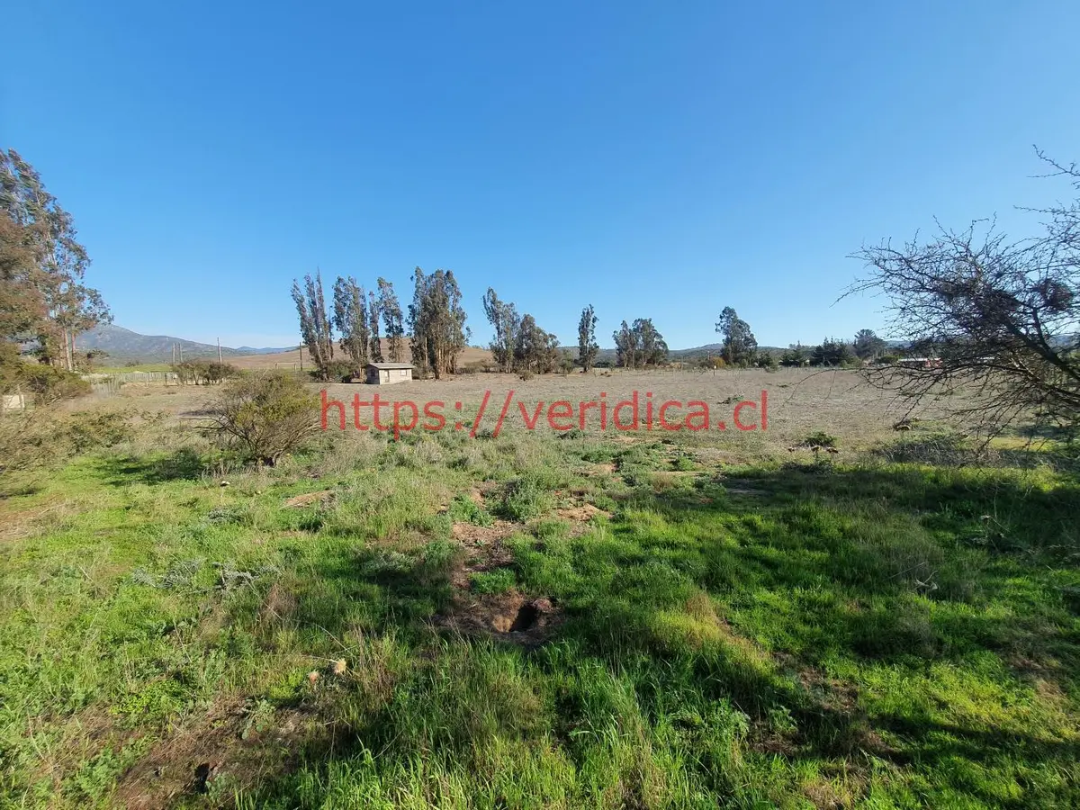 Oportunidad ! Excelente parcela 100% plana  $140.000.000 - foto 3