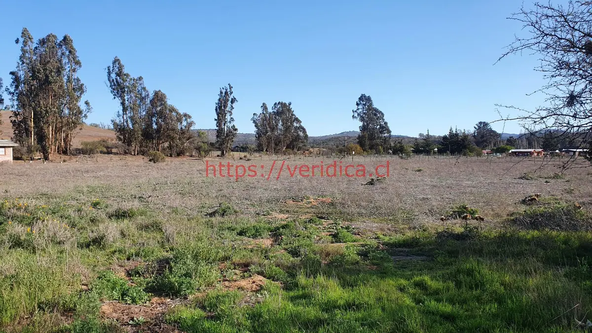 Oportunidad ! Excelente parcela 100% plana  $140.000.000 - foto 4