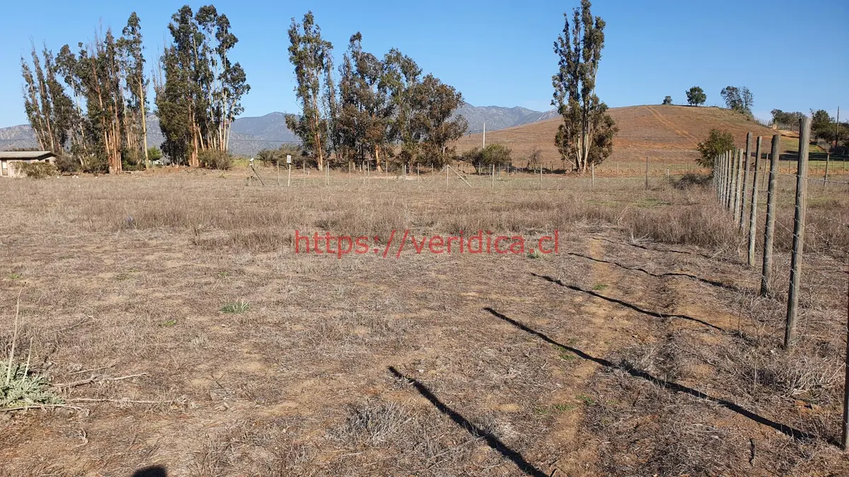 Oportunidad ! Excelente parcela 100% plana  $140.000.000 - foto 5