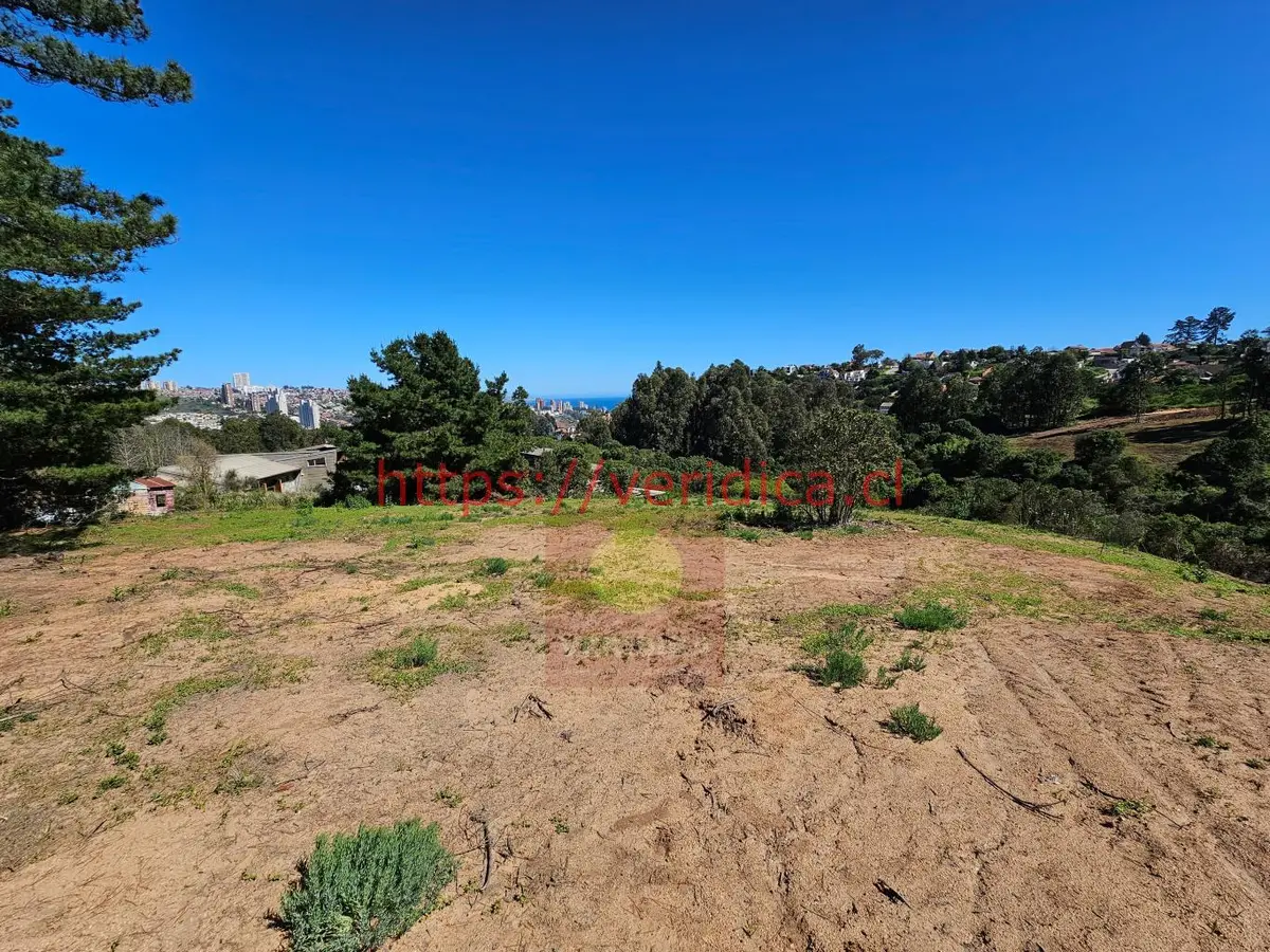 Veridika vende en Reñaca hermosos terrenos de 700m2 - foto 2