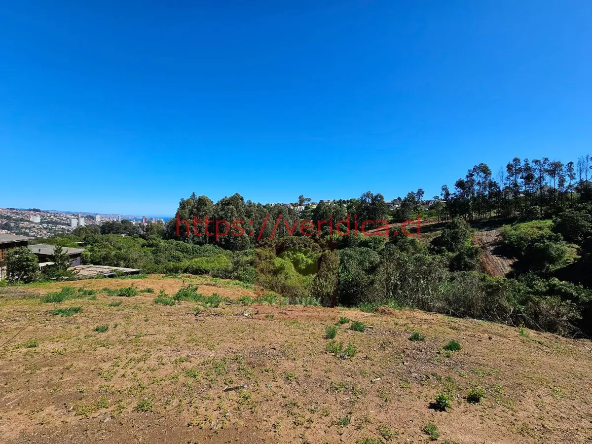 Veridika vende en Reñaca hermosos terrenos de 700m2 - foto 4