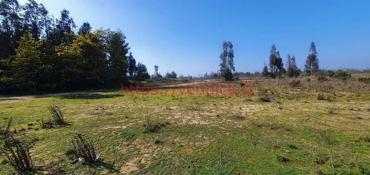 Veridika vende terreno PLANOS  de 30.000 m2 en camino La Pólvora - foto 2