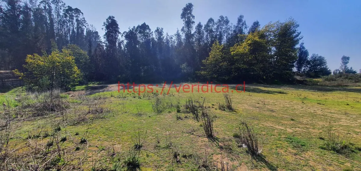 Veridika vende terreno PLANOS  de 30.000 m2 en camino La Pólvora - foto 3