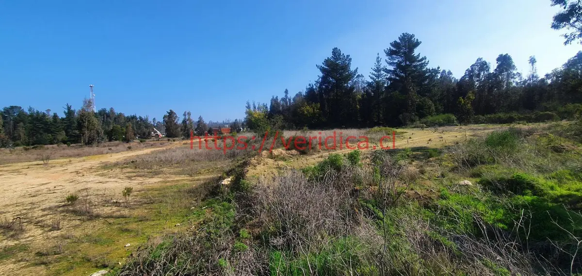 Veridika vende terreno PLANOS  de 30.000 m2 en camino La Pólvora - foto 4