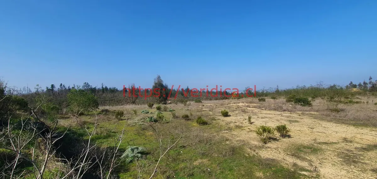 Veridika vende terreno PLANOS  de 30.000 m2 en camino La Pólvora - foto 6