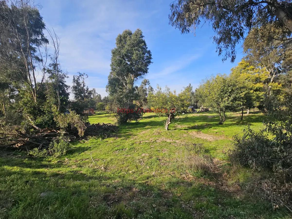 Vendo terreno de 5580m2 en sector Los Laureles Limache - foto 2