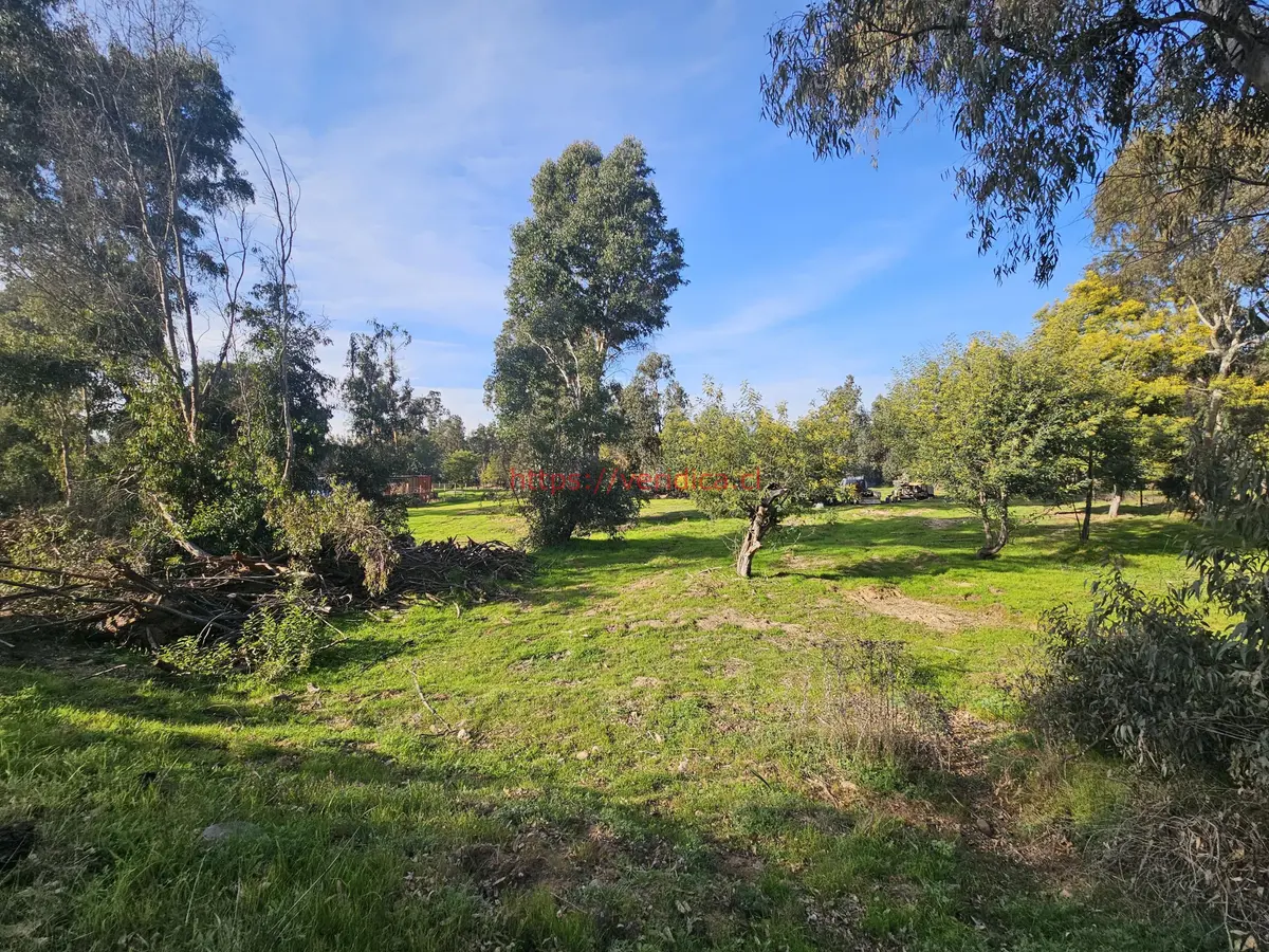 Vendo terreno de 5580m2 en sector Los Laureles Limache - foto 3