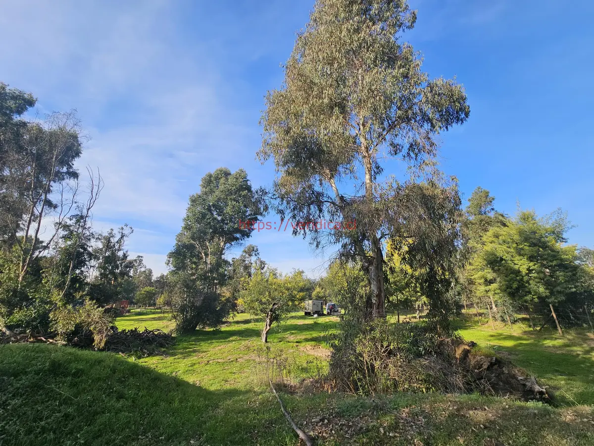 Vendo terreno de 5580m2 en sector Los Laureles Limache - foto 4