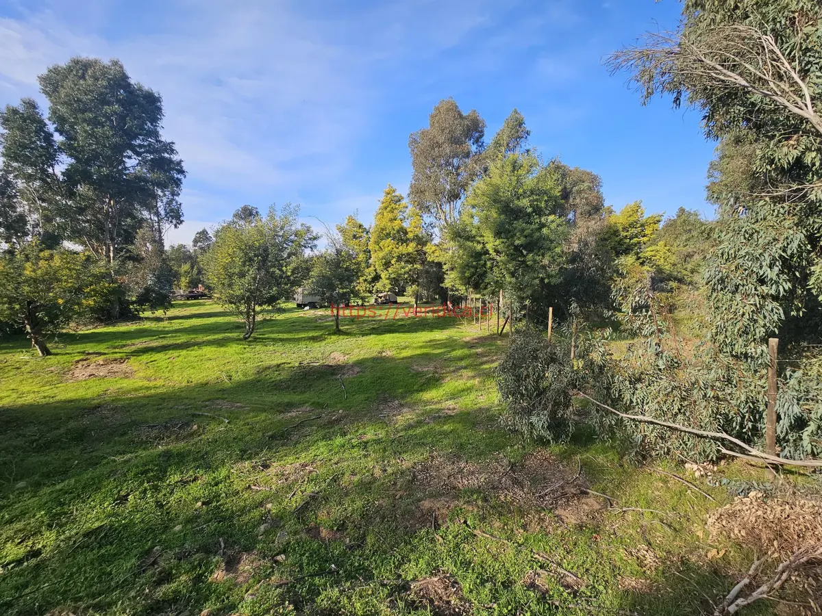 Vendo terreno de 5580m2 en sector Los Laureles Limache - foto 5