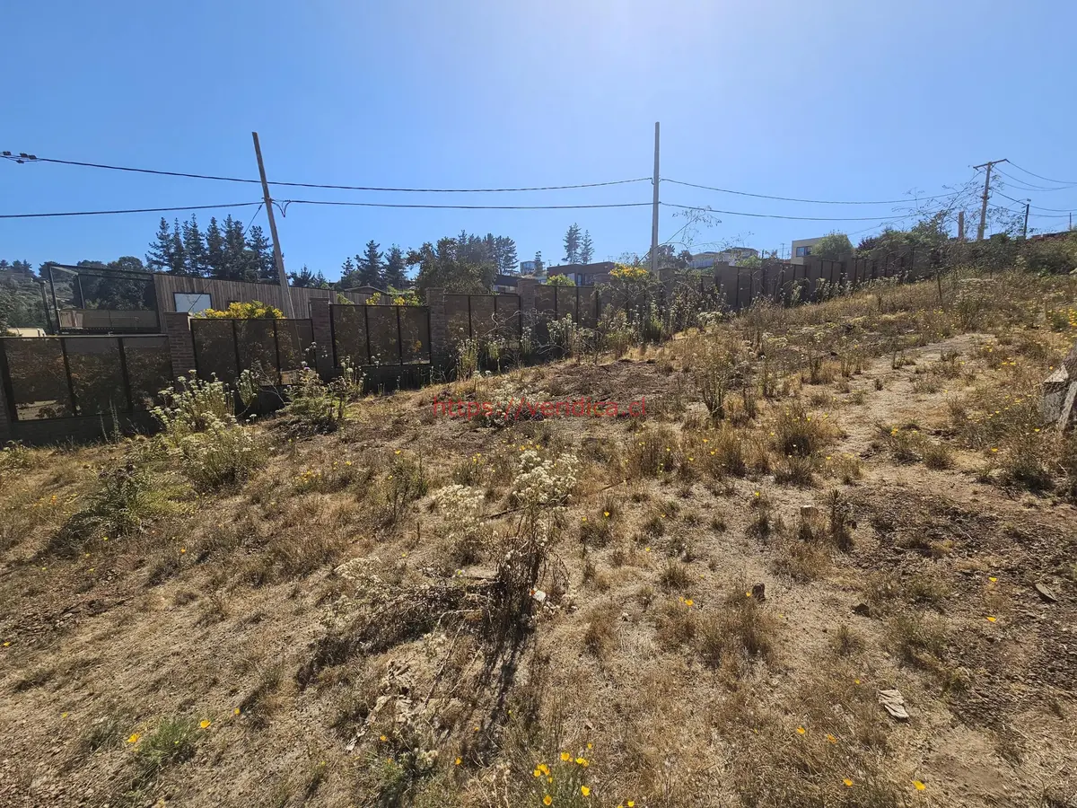 Vendo terreno en Los Pinos Reñaca - foto 2