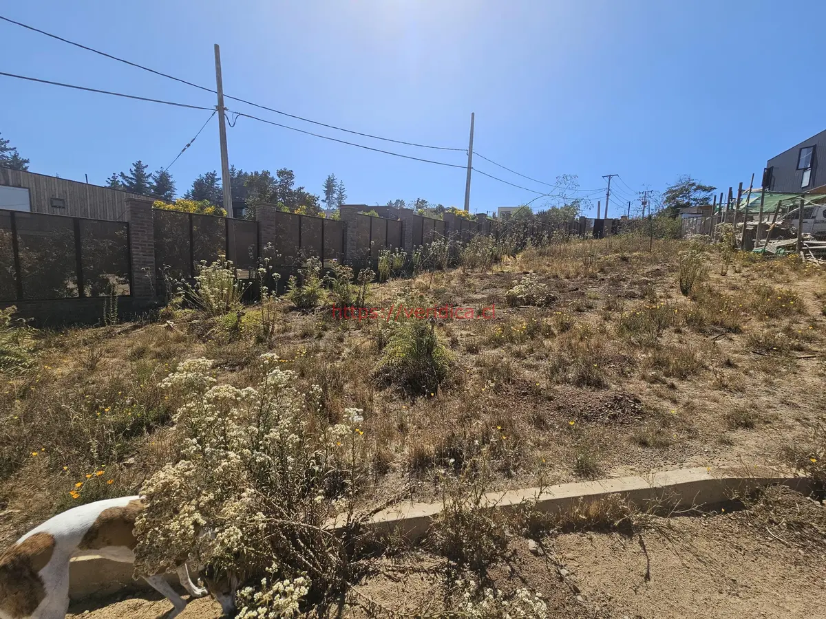 Vendo terreno en Los Pinos Reñaca - foto 3
