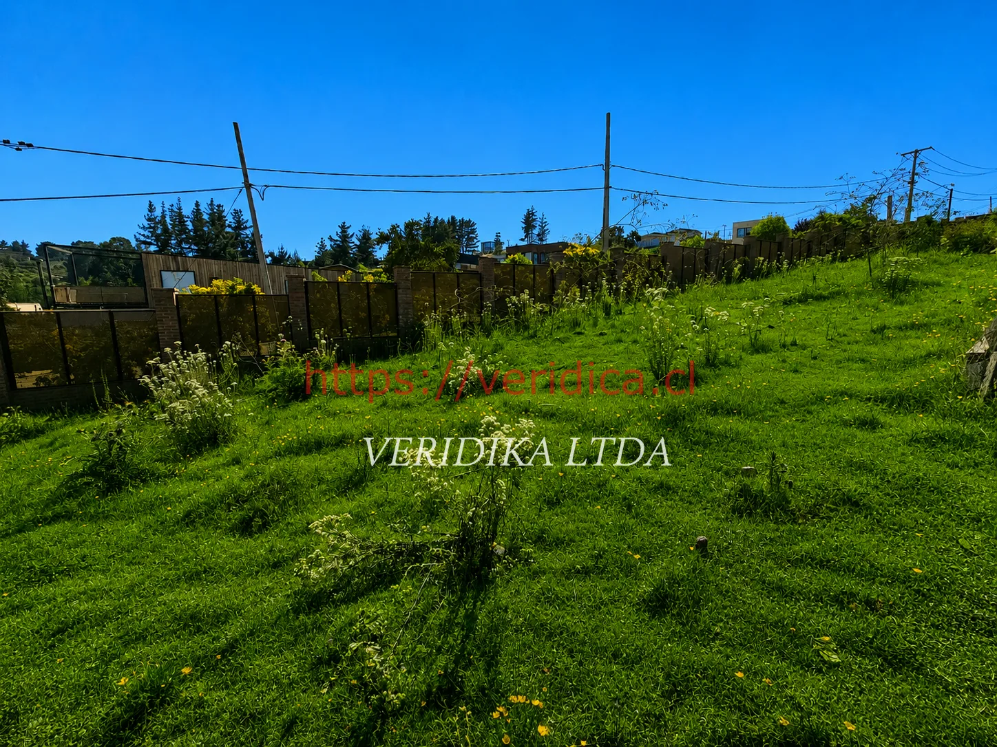 Vendo terreno en Los Pinos Reñaca - foto 3