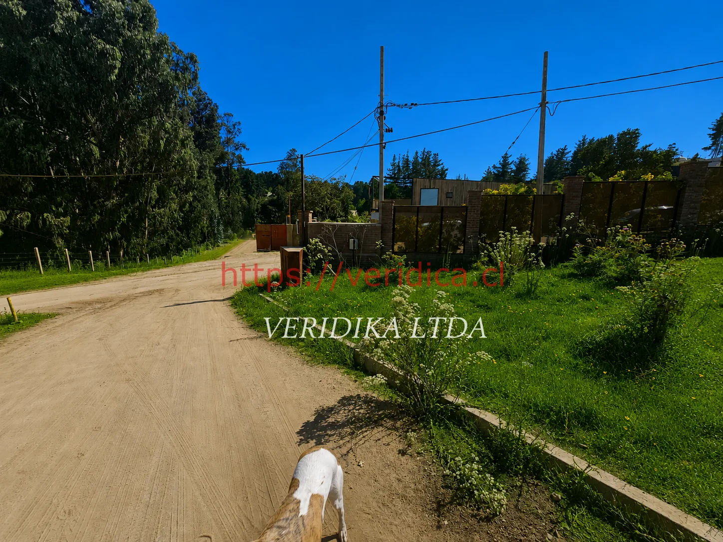 Vendo terreno en Los Pinos Reñaca - foto 6
