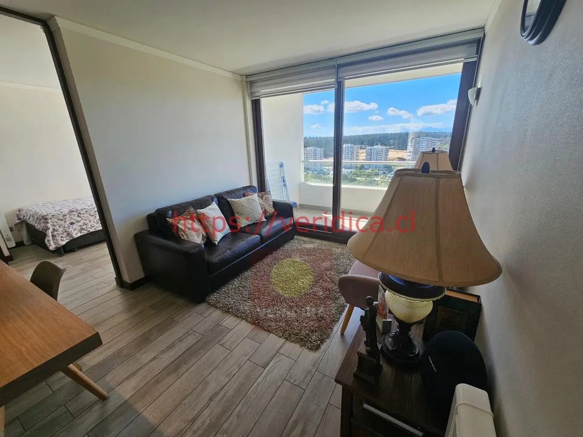 Veridika vende depto. en Edmundo Eluchans vista al parque - foto 6