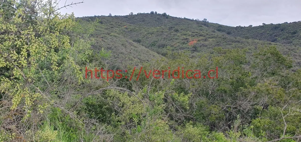 Veridica VENDE Hermosa parcela de agrado en Casablanca $39.990.000 - foto 3