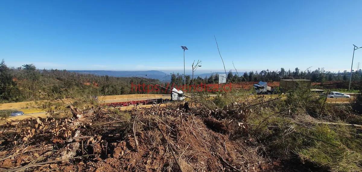 Arriendo terreno industrial de 5.000 m2 en Placilla. - foto 4