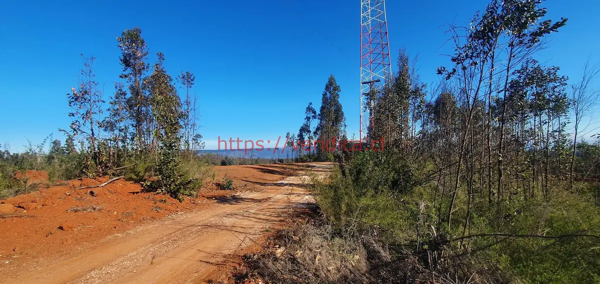 Arriendo terreno industrial de 5.000 m2 en Placilla. - foto 6