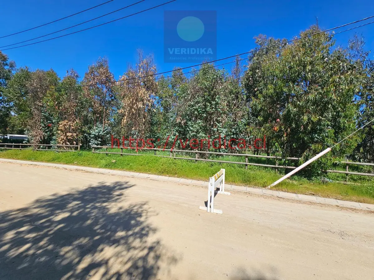 Vendo terreno en condominio en Santa Adela Mantagua - foto 5