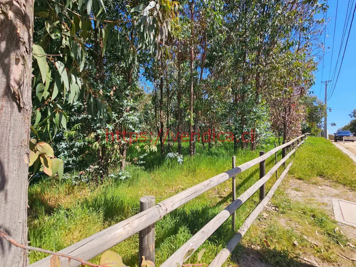 Vendo terreno en condominio en Santa Adela Mantagua - foto 6