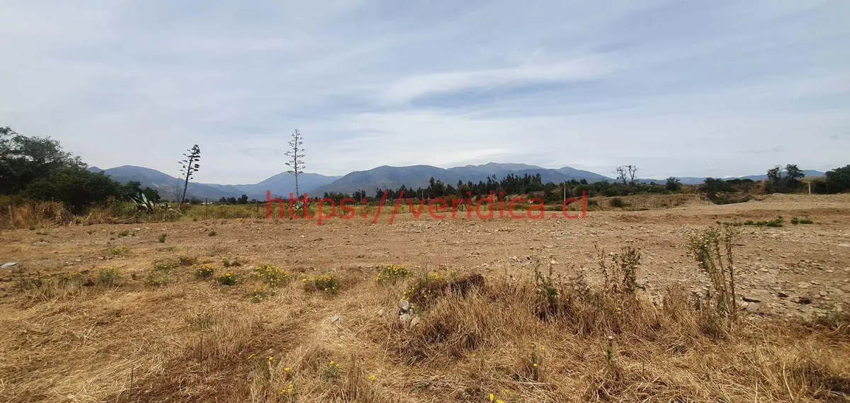 Veridika vende lotes  de 5000 m2 en condominio en Olmué - foto 4