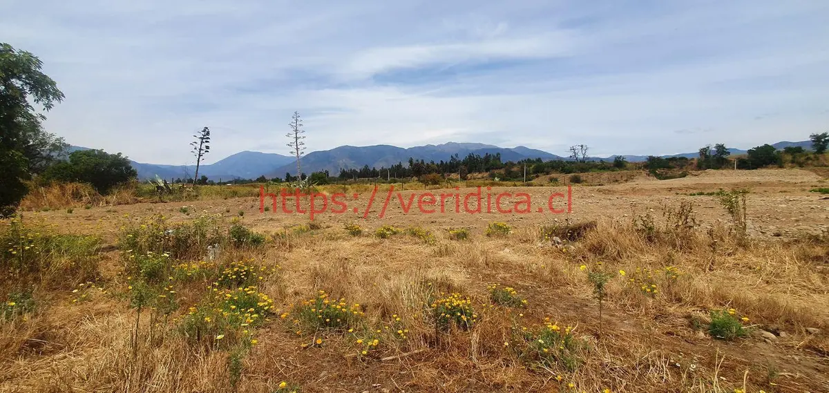 Veridika vende lotes  de 5000 m2 en condominio en Olmué - foto 6