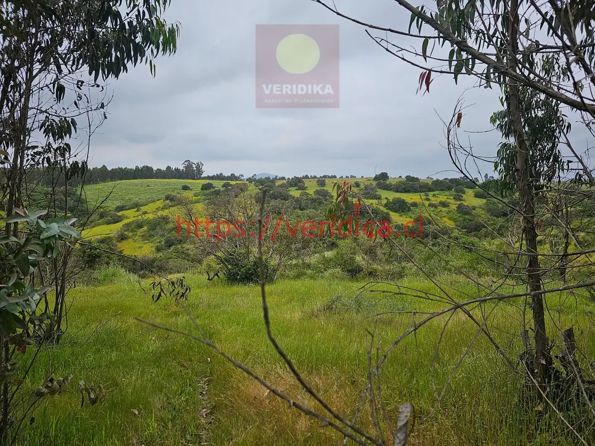 Vendo terreno industrial en Cartagena 6300uf/há, 23 há - foto 4