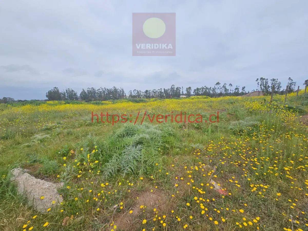 Vendo terreno industrial en Cartagena 6300uf/há, 23 há - foto 5