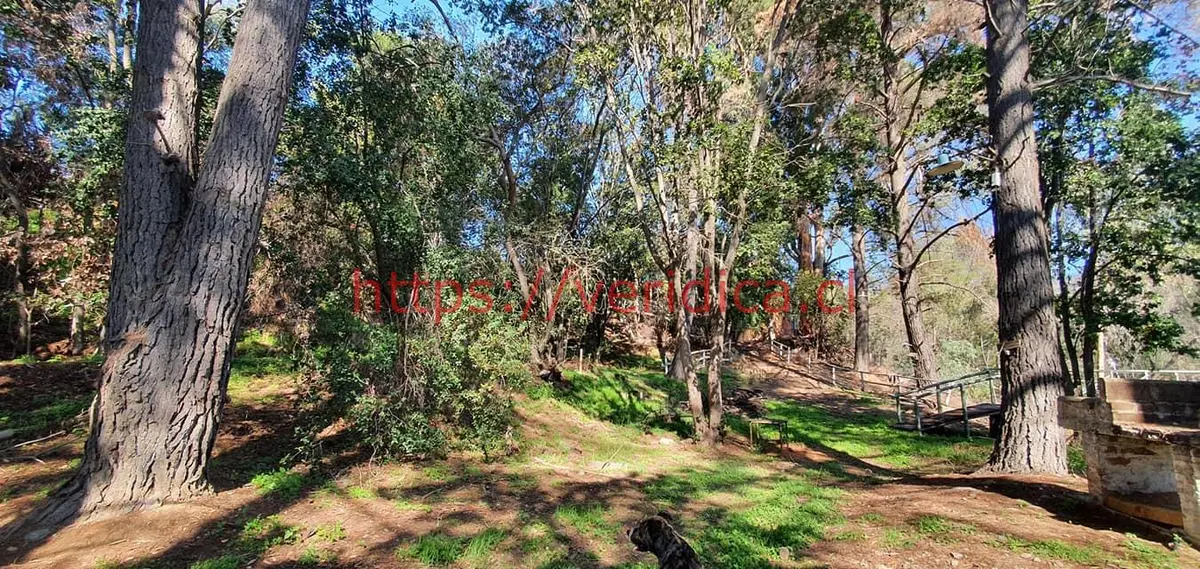 Veridika Vende Terreno c/4 Casas en Quebrada Escobares - foto 4