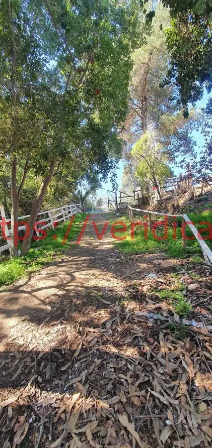 Veridika Vende Terreno c/4 Casas en Quebrada Escobares - foto 6