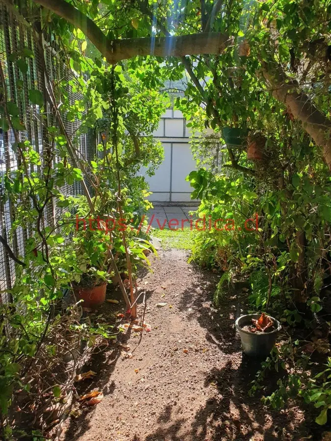 Céntrica casa, en Plan Centro de Viña del Mar UF 7.990 - foto 6