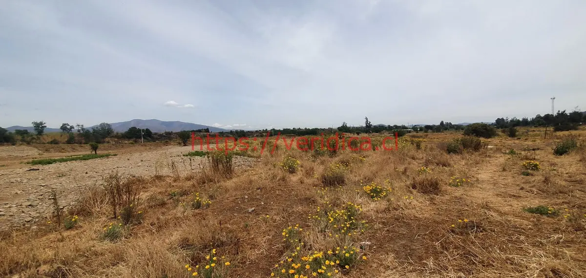 Veridika vende parcelas de 5000 m2 en condominio en Olmué - foto 6