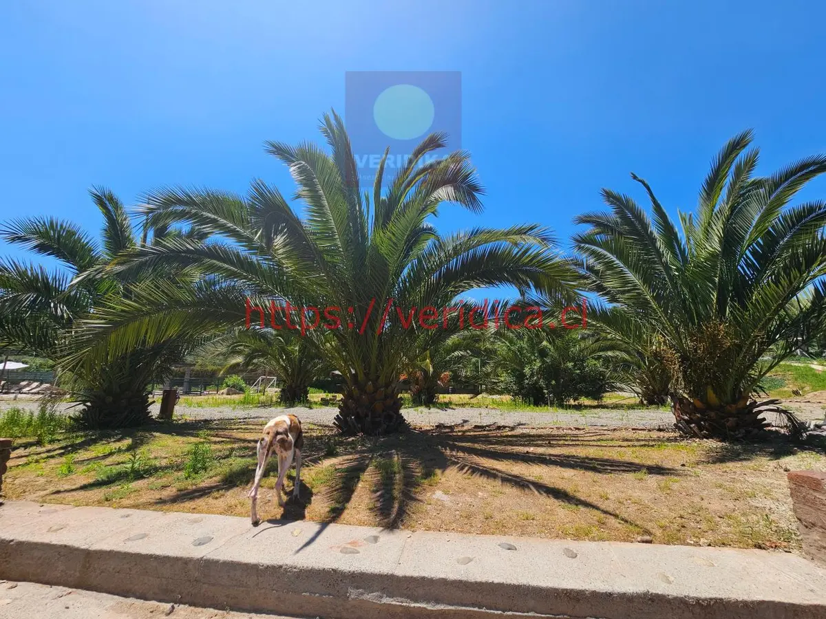 Veridika vende parcela con canchas de tenis y piscina - foto 4