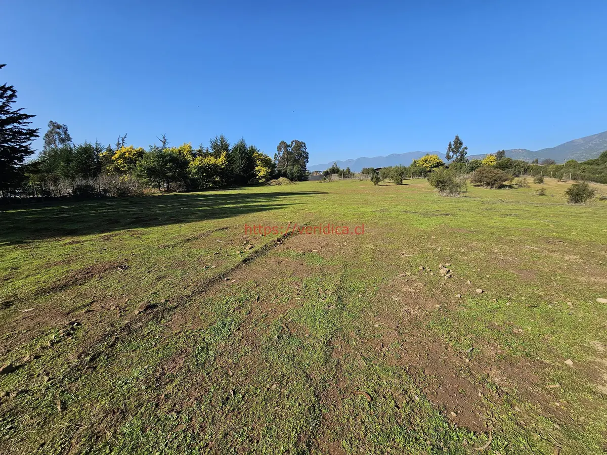 Vendo terreno de 5000m2 con rol, agua y luz en Valle Alegre - foto 3