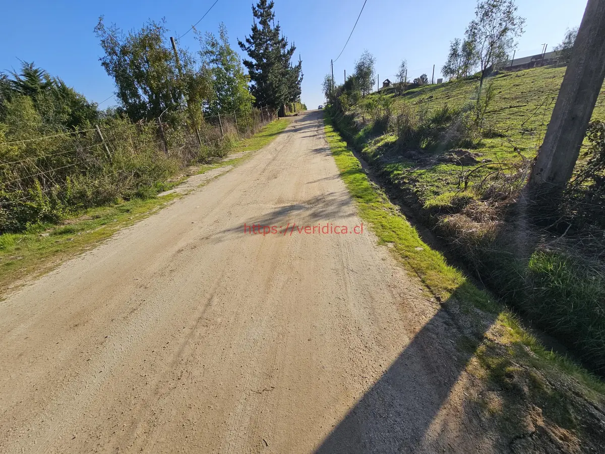 Vendo terreno de 5000m2 con rol, agua y luz en Valle Alegre - foto 6