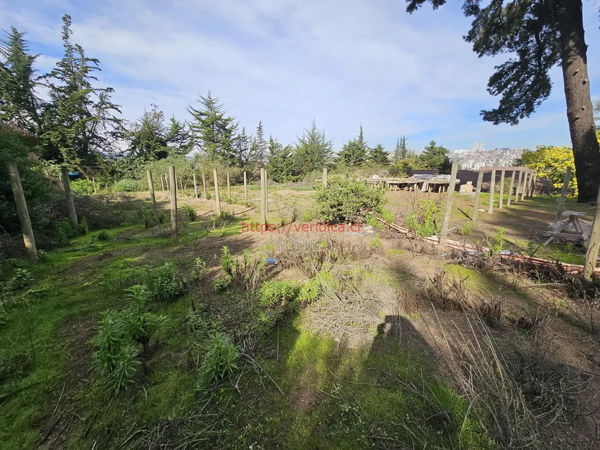 Vendo terreno plano a pasos de Gastón Hamel - foto 2