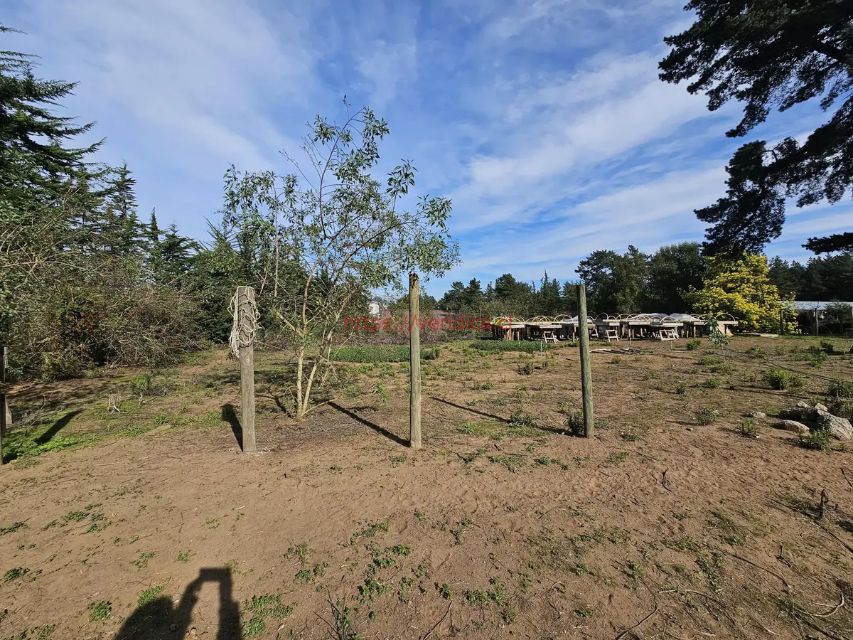 Vendo terreno plano a pasos de Gastón Hamel - foto 3