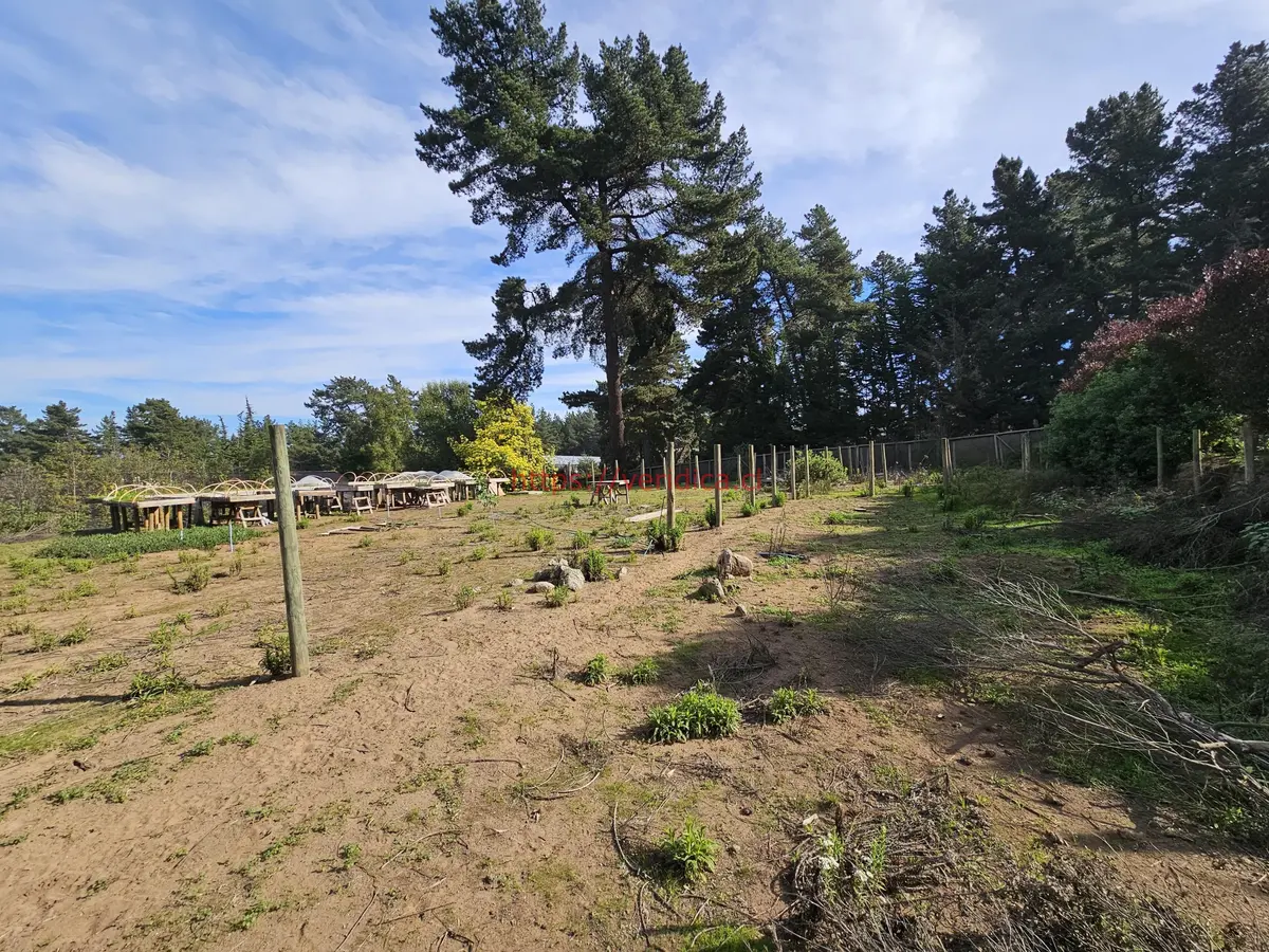 Vendo terreno plano a pasos de Gastón Hamel - foto 4