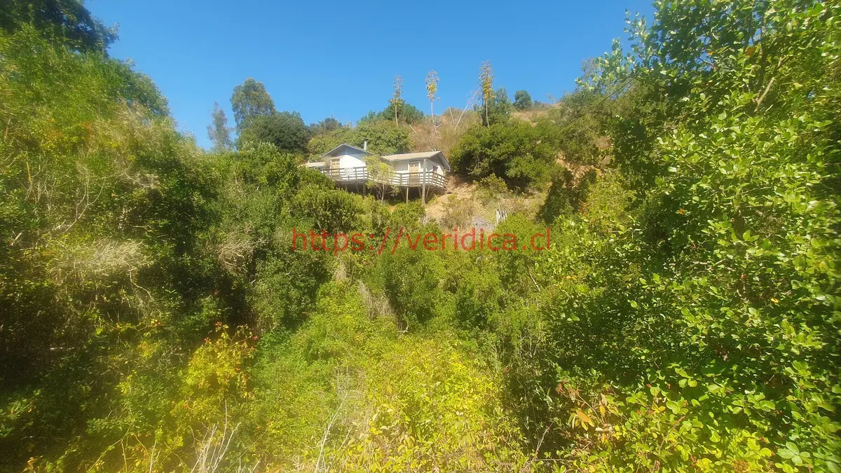 Oportunidad por viaje. Parcela 3,5ha con Casa 89.900.000 - foto 2