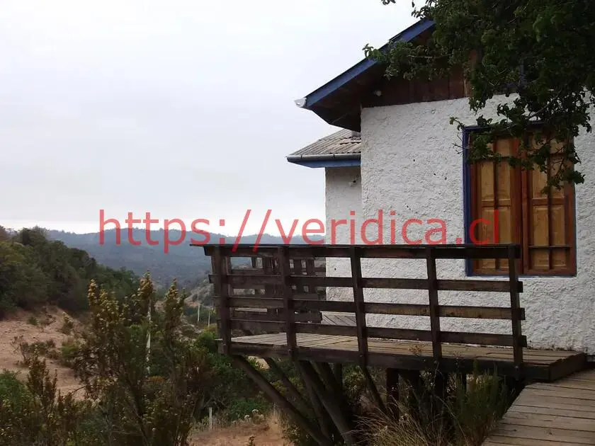 Oportunidad por viaje. Parcela 3,5ha con Casa 89.900.000 - foto 4