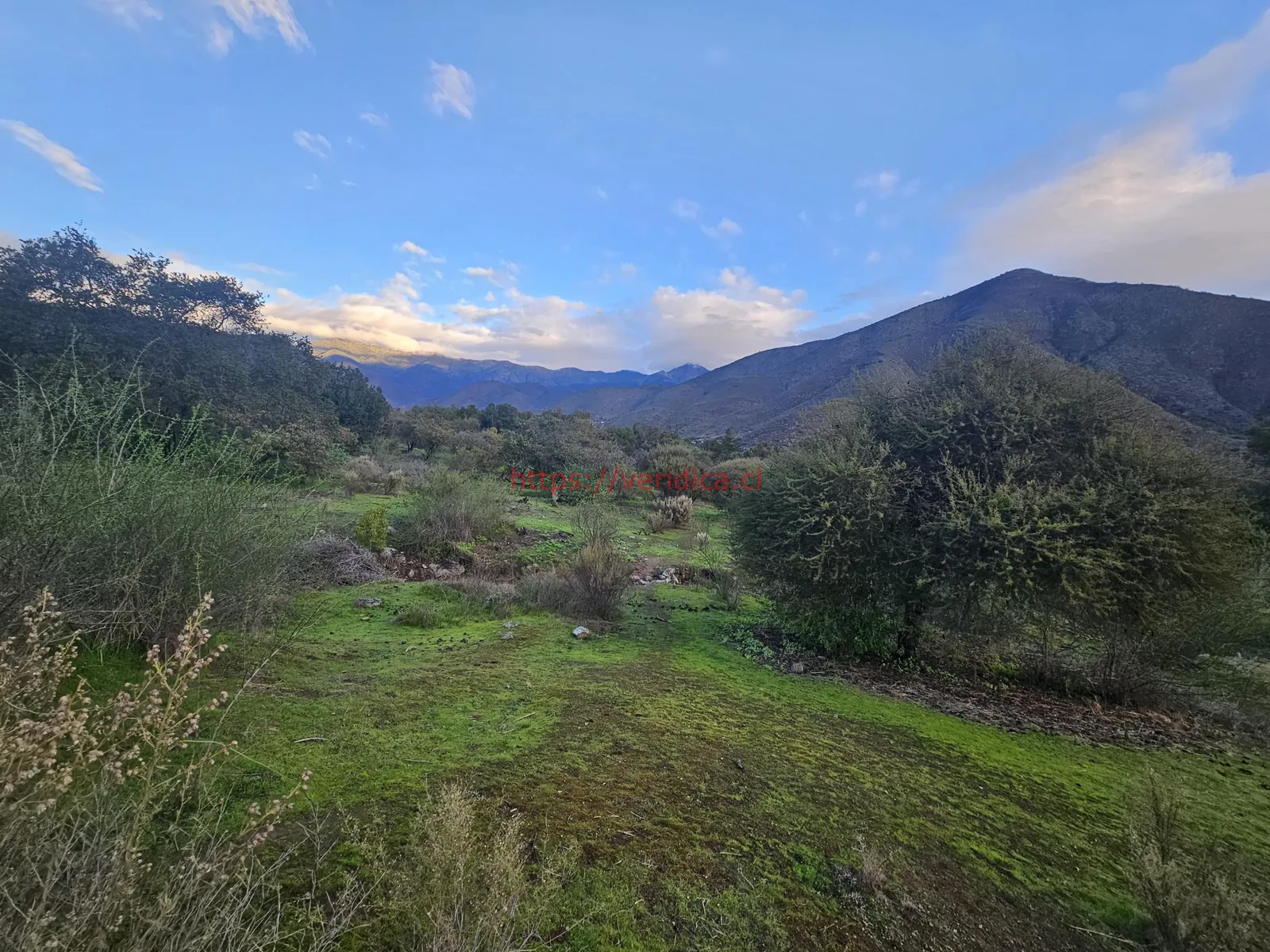 "Vendo hermosos terrenos semi planos y planos en Quebrada Alvarado. " - foto 6