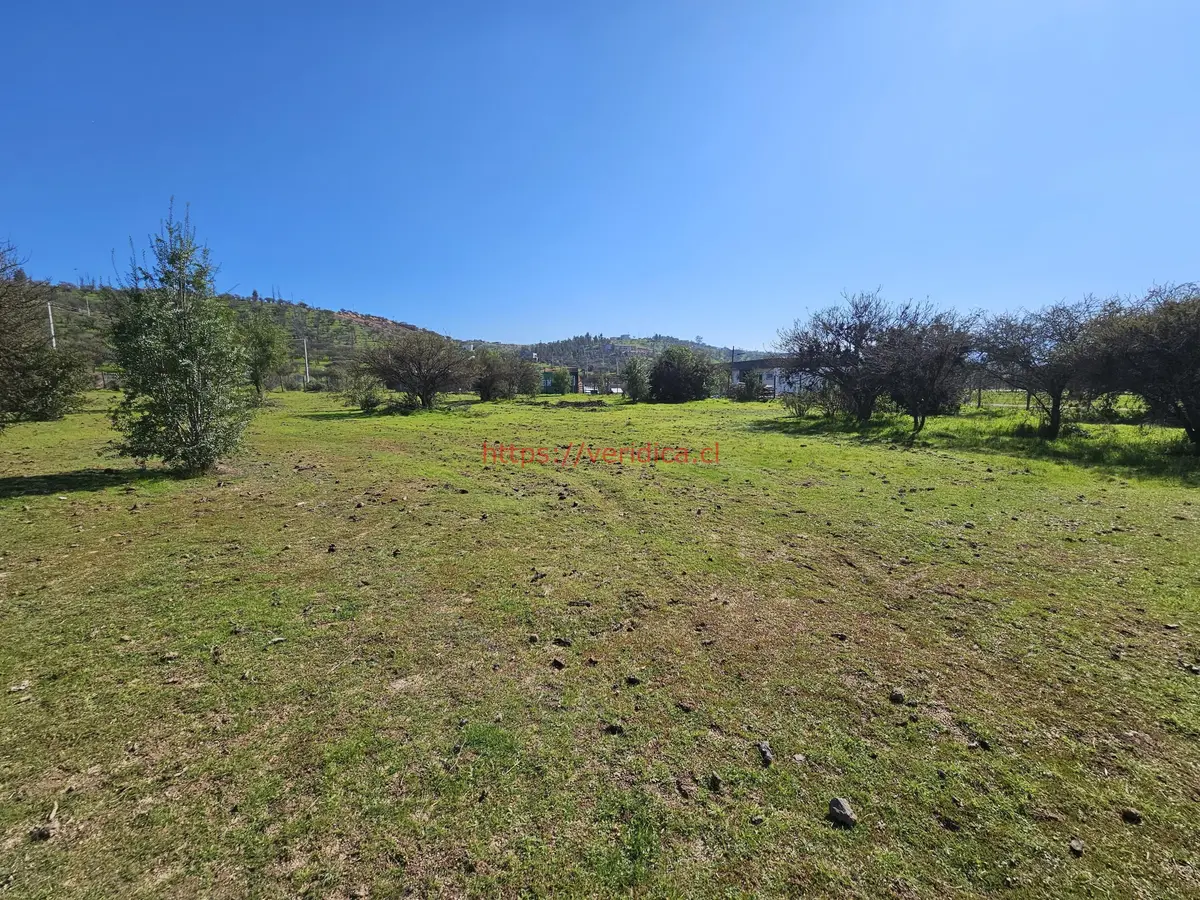 Vendo hermosas parcelas de 5.000m2 Campo Koyam . - foto 5