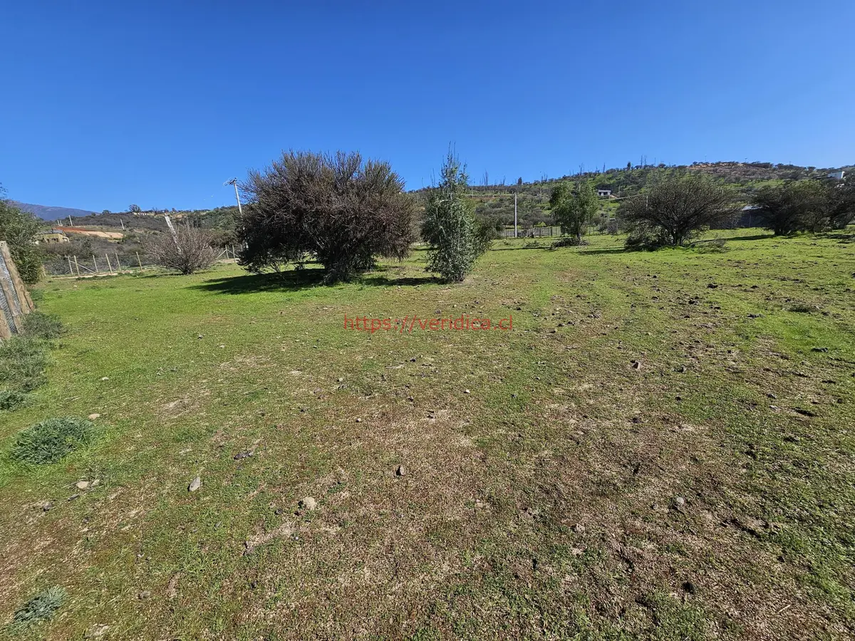 Vendo hermosas parcelas de 5.000m2 Campo Koyam . - foto 6