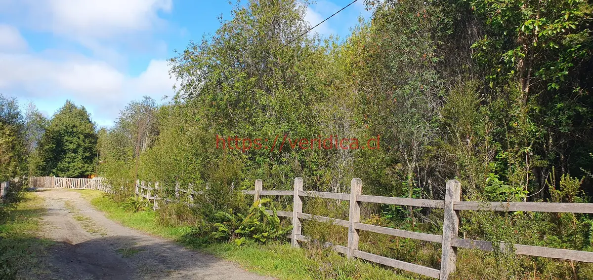 Por apuro vendo parcelas con luz agua en Rta. V-651 Puerto Montt - foto 4