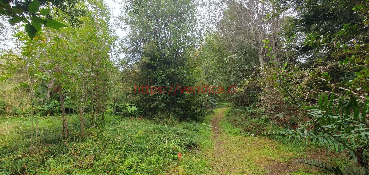 Por apuro vendo parcelas con luz agua en Rta. V-651 Puerto Montt - foto 6