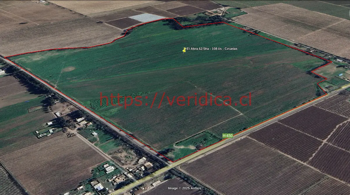 Gran campo en plena producción en El Abra, requínoa. - foto 5