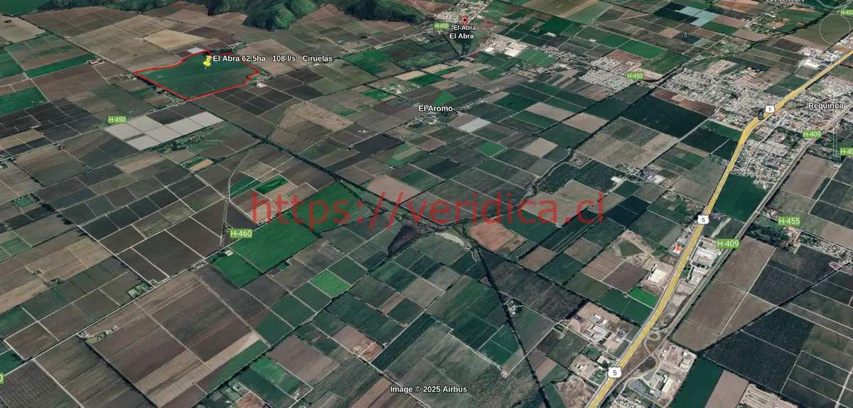 Gran campo en plena producción en El Abra, requínoa. - foto 6