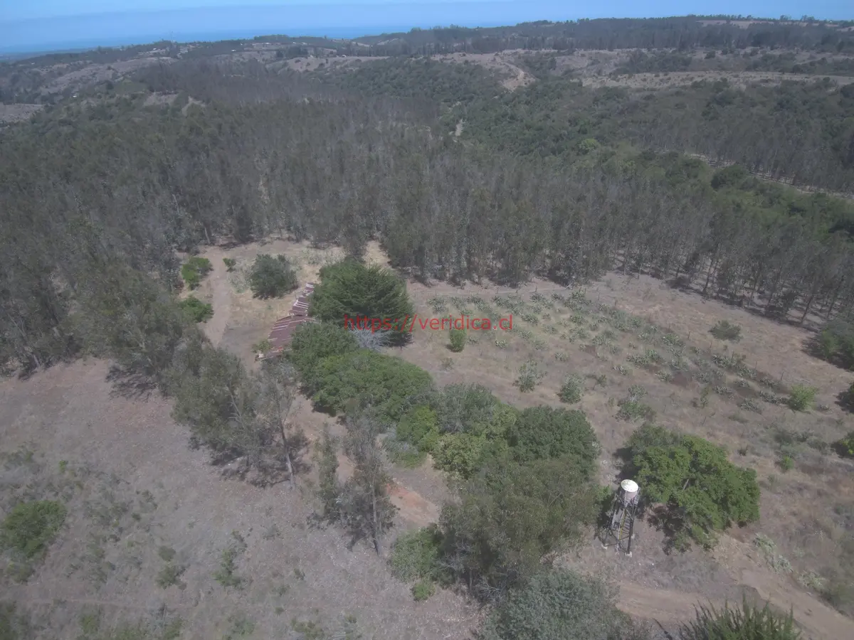 Espectacular parcela en Algarrobo de 43ha UF 11.000 - foto 2