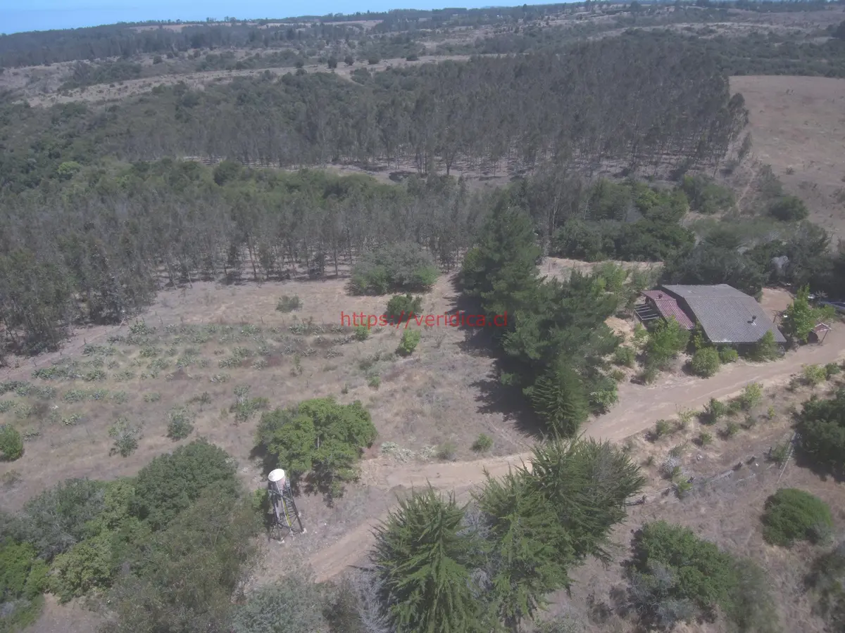 Espectacular parcela en Algarrobo de 43ha UF 11.000 - foto 3