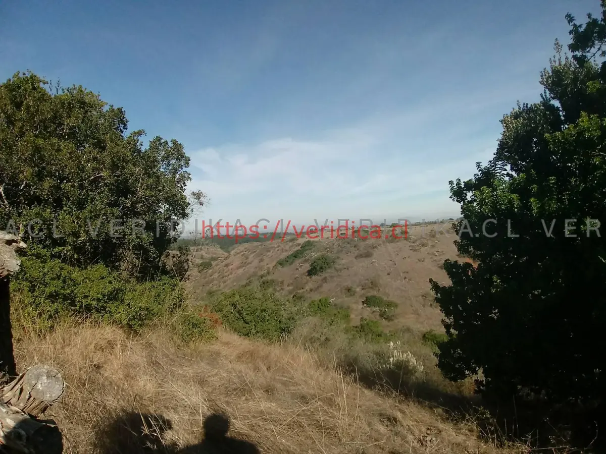 Espectacular parcela en Algarrobo de 43ha UF 11.000 - foto 4